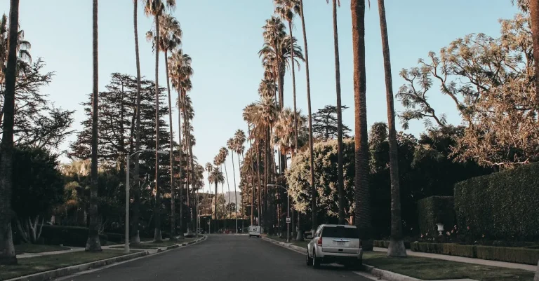 How To Contest A Parking Ticket In Los Angeles: The Complete Guide
