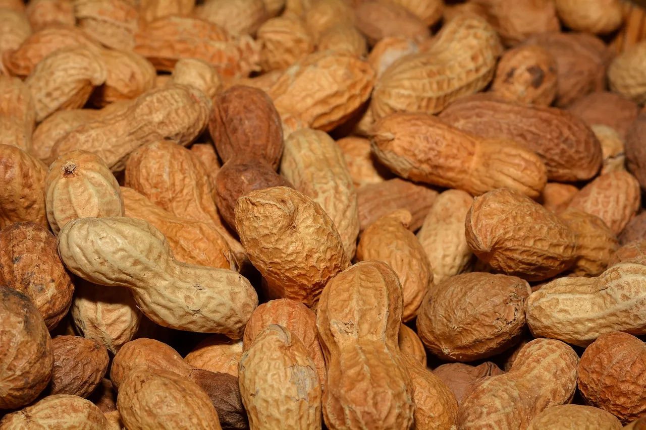 Does Texas Roadhouse Have Peanuts? What To Know Before You Go Eye And Pen